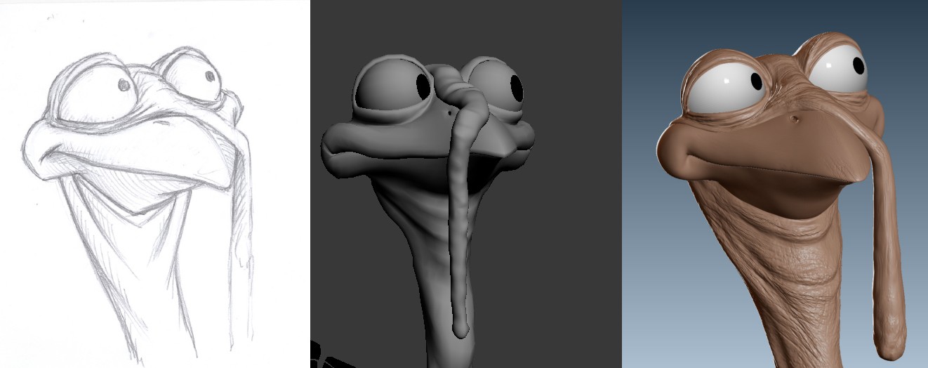 Head