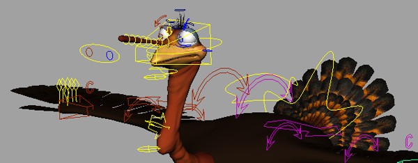 rig