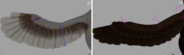 Wings